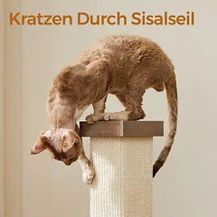 Kačių draskyklė 73cm — 3 nuotrauka