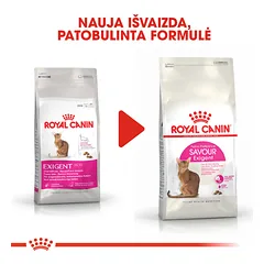ROYAL CANIN FHN exigent savour sausas maistas išrankioms suaugusioms katėms 2 kg — 5 nuotrauka