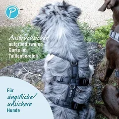 Petlando Mesh saugos petnešos, juodos, Labai dideliems > 45 kg — 2 nuotrauka