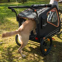 Nomad Tales Spirit dviračio priekaba, ebony / tangerine, Dideliems 26–45 kg — 3 nuotrauka