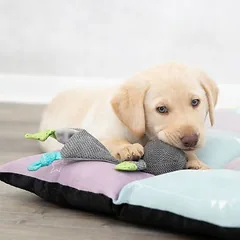 Trixie Junior žaislas šuniukams meškiukas, Labai mažiems < 4 kg — 3 nuotrauka