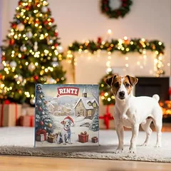 RINTI Chicko Adventskalender, 125 - 249 g — 2 nuotrauka