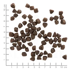 WOLFSBLUT Small Breed Cold River Adult sausas maistas mažų veislių šunims su upėtakiu 2 kg — 4 nuotrauka