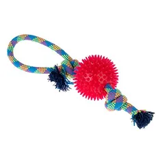 zooplus Basics Seil mit Ball