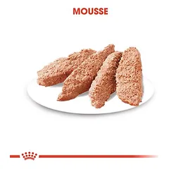 Royal Canin Dermacomfort Mousse drėgnas maistas šunims — 3 nuotrauka