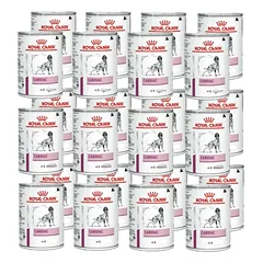 ROYAL CANIN Cardiac 24x410g skardinė