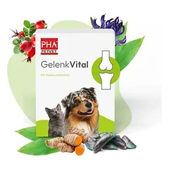 Kauartikel.com PHA GelenkVital für Hunde & Katzen 150 g