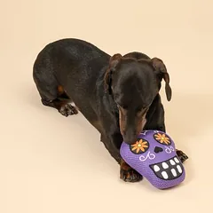 TIAKI žaislas šunims Catrina, apie L 15 x B 13 x H 6 cm — 3 nuotrauka