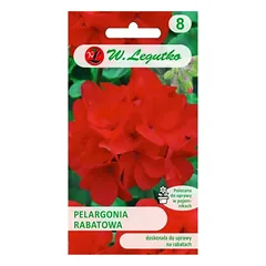 Gama F1 gėlių pelargonija - raudona