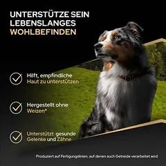 PURINA PRO PLAN Large Athletic Adult Sensitive Skin su lašiša, sausas maistas šunims — 2 nuotrauka
