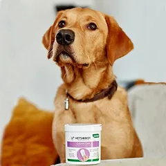 Vet's Best® Clean ausų valymo servetėlės, 50 servetėlių — 2 nuotrauka