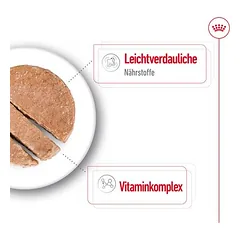 Royal Canin Mini Adult Mousse drėgnas maistas šunims — 4 nuotrauka