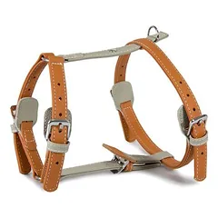 Das Lederband Geschirr Amsterdam Orange/Grey