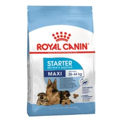 Royal Canin Maxi Starter sausas maistas šunims - Pet24