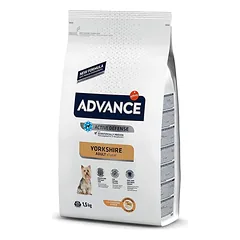 ADVANCE YORKSHIRE TERRIER