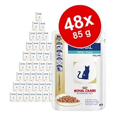 Royal Canin Veterinary drėgnas maistas katėms, ekonominė pakuotė 48 x 85 g