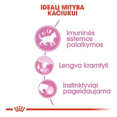 ROYAL CANIN FHN Kitten instinctive in gravy konservai padaže kačiukams 12x85 g — 3 nuotrauka