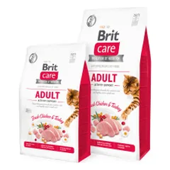 Brit Care Cat Adult Activity Support sausas maistas katėms