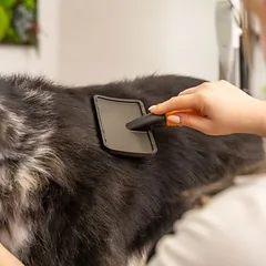 Wahl® šukavimo šepetys, oranžinė, Dyd. L: L 25,2 x B 12 x H 4,4 cm — 2 nuotrauka