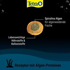 Tetra Pleco Spirulina Wafer lesalas žuvims, 250 ml — 2 nuotrauka