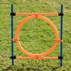 zooplus Exclusive Agility rinkinys: Fun & Sport rinkinys šunims, Ekonominė pakuotė su 3 atskirais elementais — 5 nuotrauka