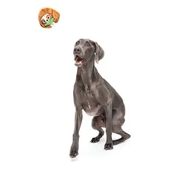 Bark žaislas šunims tinginys Sonny, apie L 21 x B 14 x H 7 cm — 3 nuotrauka