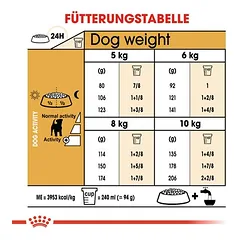 Royal Canin Jack Russell Terrier Adult sausas maistas šunims — 5 nuotrauka