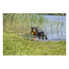 TRIXIE Vandens žaislas Antis su virve, 20 cm/36 cm (pak.2) — 4 nuotrauka