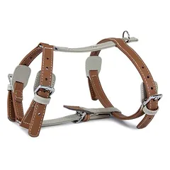Das Lederband Geschirr Amsterdam Brandy/Grey