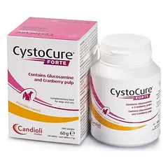 CYSTOCURE FORTE 30 tabl. papildas šlapimo takams