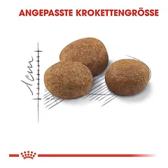 Royal Canin Sterilised 7+ sausas maistas katėms, 3 - 4,9 kg — 3 nuotrauka