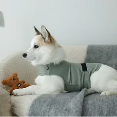 Rukka nuraminanti liemenė šunims Zen, pilka, Mažiems 5–10 kg — 4 nuotrauka