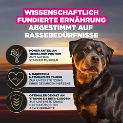 Eukanuba Adult Breed Care Rottweiler, sausas maistas šunims — 3 nuotrauka