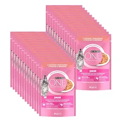 Purina One Junior su lašiša ir morkomis 26x85g