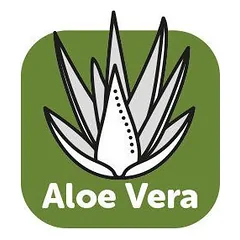 Flamingo Aloe Vera drėkinamasis šampūnas šunims su alaviju, 300 ml — 2 nuotrauka