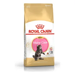 Royal Canin Maine Coon Kitten sausas maistas kačiukams, > 10 kg parduotuvėje petreon.lt