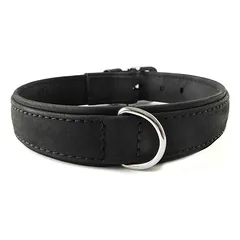 Das Lederband Hundehalsband Boston schwarz/schwarz