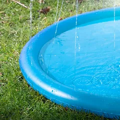 COOLPETS baseinas su fontano funkcija šunims, mėlynas — 4 nuotrauka