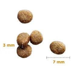 Iams CAT KITTEN CHICKEN sausas maistas kačiukams, 3 kg — 2 nuotrauka