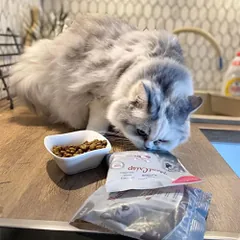 Platinum MeatCrisp Adult sausas maistas katėms su žuvimi, 1,5 kg — 3 nuotrauka