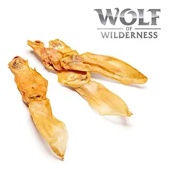 Wolf of Wilderness - Kaninchenohren