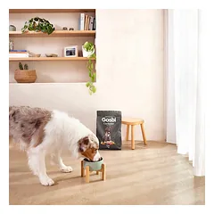 Gosbi sausas maistas jauniems didelių veislių šunims Exclusive Puppy Maxi Chicken, 12 kg — 3 nuotrauka