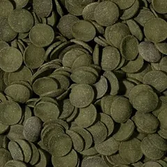 Tropical Green Algae Wafers pašaras dugninėms žuvims 1000 ml — 2 nuotrauka
