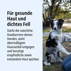 Virbac Veterinary HPM Dog Dermatology Support D1, sausas maistas šunims, > 10 kg — 3 nuotrauka