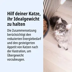 Virbac Veterinary Cat Adult Neutered drėgnas maistas katėms, Sparpaket: 24 x 85 g — 4 nuotrauka