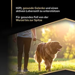PURINA PRO PLAN Large Robust Adult Everyday Nutrition sausas maistas šunims — 3 nuotrauka