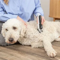 Trixie belaidžio kirpimo mašinėlės rinkinys TR1200, Kirpimo mašinėlė su kirpimo galvute — 3 nuotrauka
