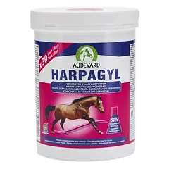 Audevard Ergänzungsfutter für Pferde HARPAGYL