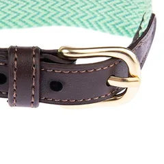 Nomad Tales Bloom antkaklis šunims, mint, Dydis XL: 52–58 cm kaklo apimtis, 38 mm pločio — 3 nuotrauka