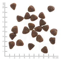 WOLFSBLUT Wild Duck Large Breed Puppy sausas maistas jauniems didelių veislių šuniukams su antiena ir bulvėmis, 2 kg — 4 nuotrauka